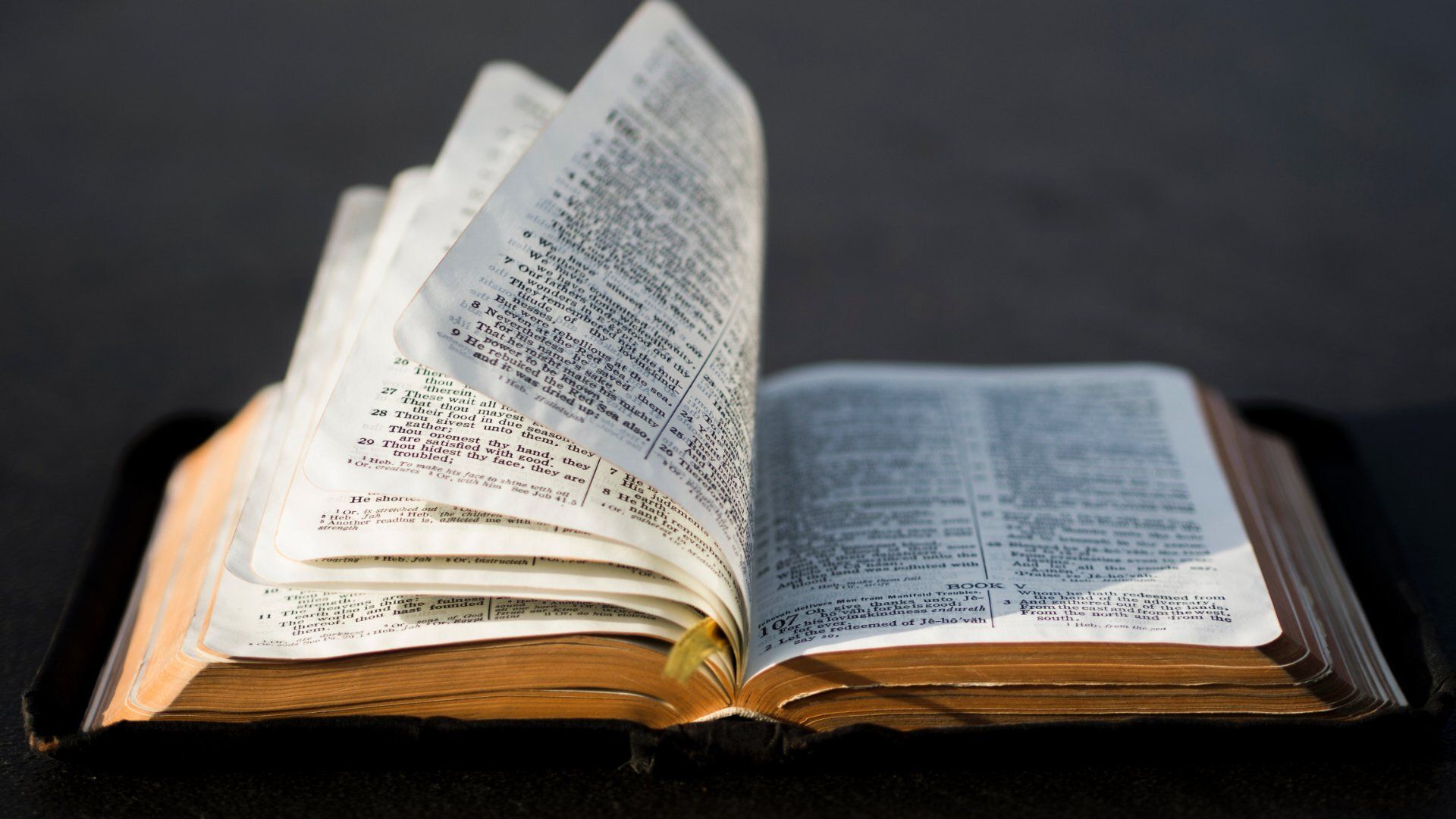 Many Young Americans Confirm Bible 'Transformed My Life'