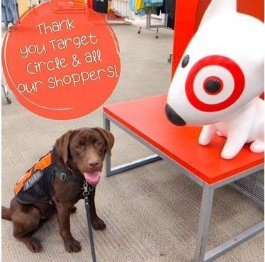 Hearing dog in training at Target