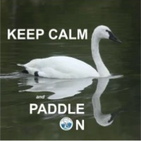 #17 Keep Calm and Paddle On Magnet