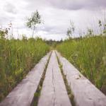 Among Many Pathways