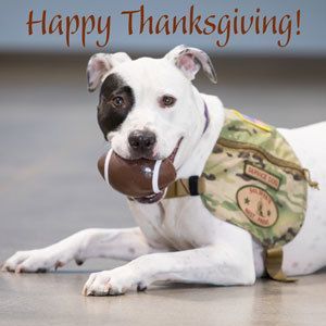 Happy Thanksgiving!