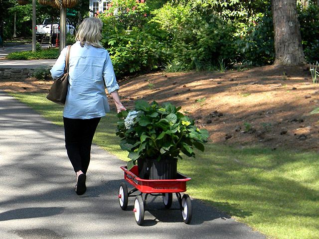 Annual Spring Plant Sale