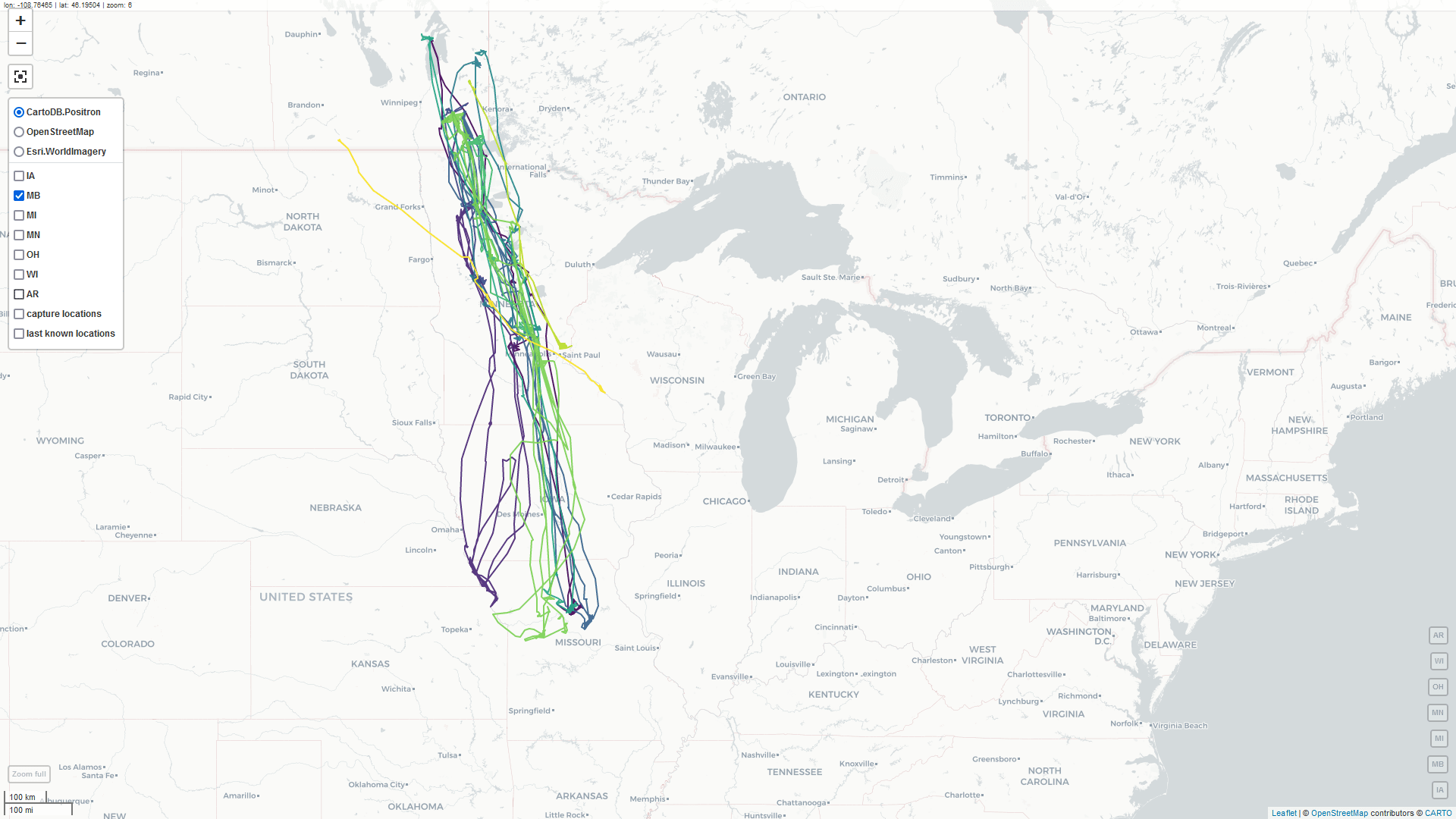 Map showing Manitoba swans' year round travels