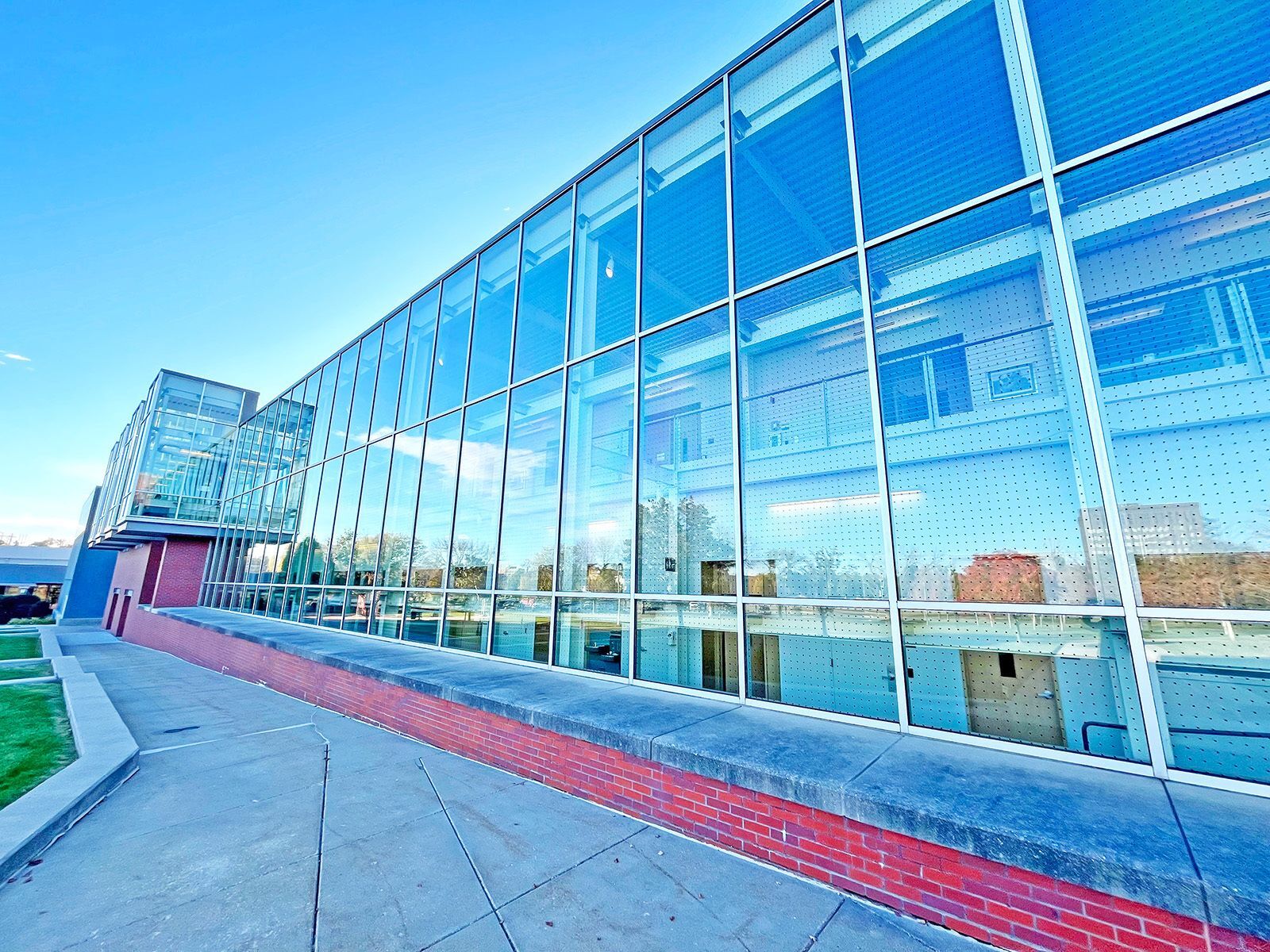 Preventing birds from colliding with windows