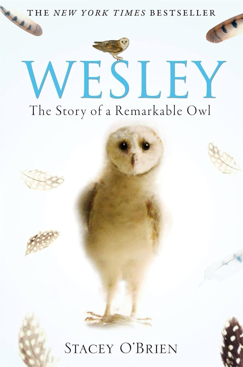 The Story of a Remarkable Owl cover photo