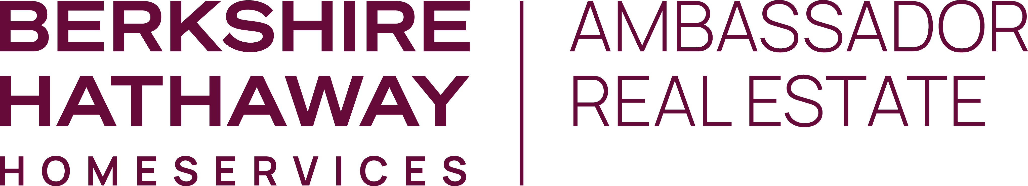 Berkshire Hathaway Home Services Ambassador Real Estate