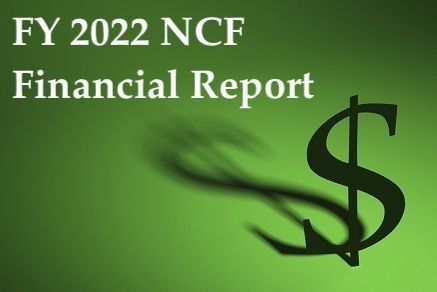 FY 2022 Financial Report