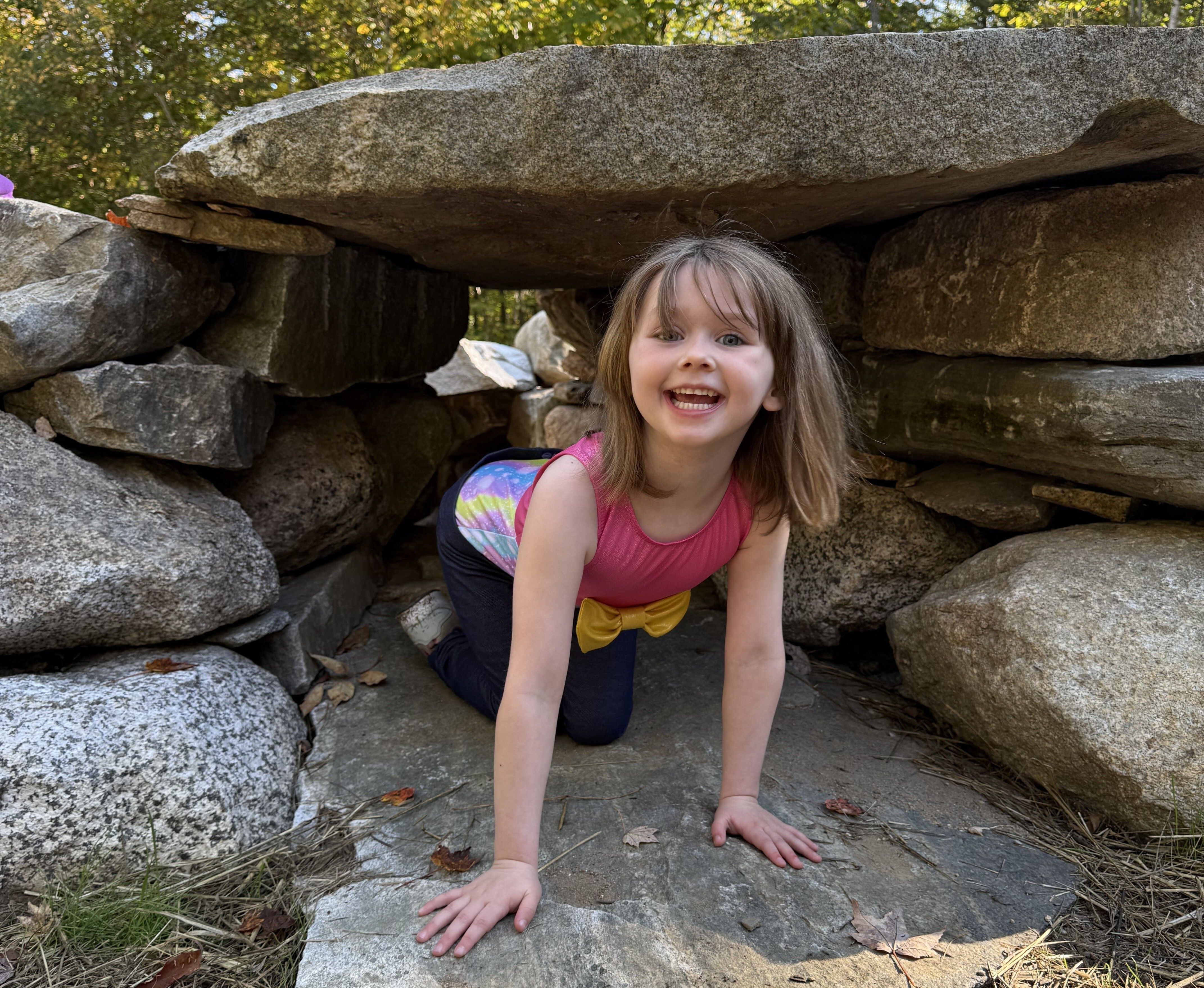 Nature PlayScape Grand Opening Oct 25th at 10am - Nature Learning Center