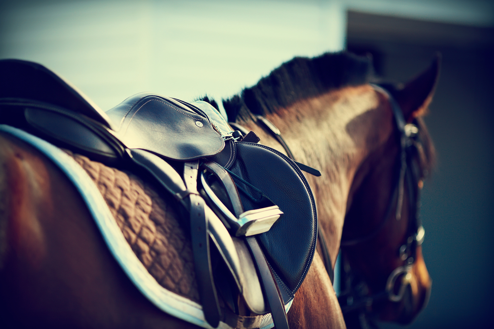 Germantown Charity Horse Show