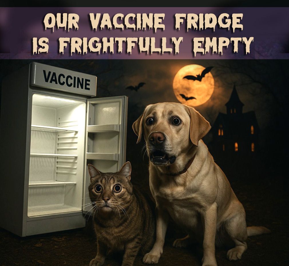 Help Fill our Spooky, Empty Vaccine Fridge!