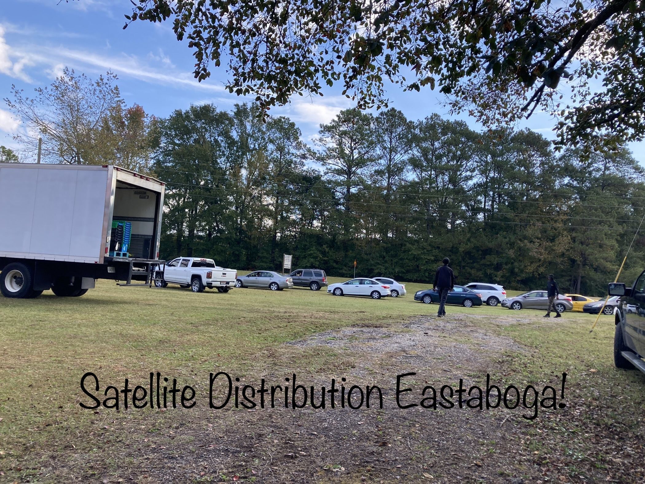 Satellite Distribution - Eastaboga