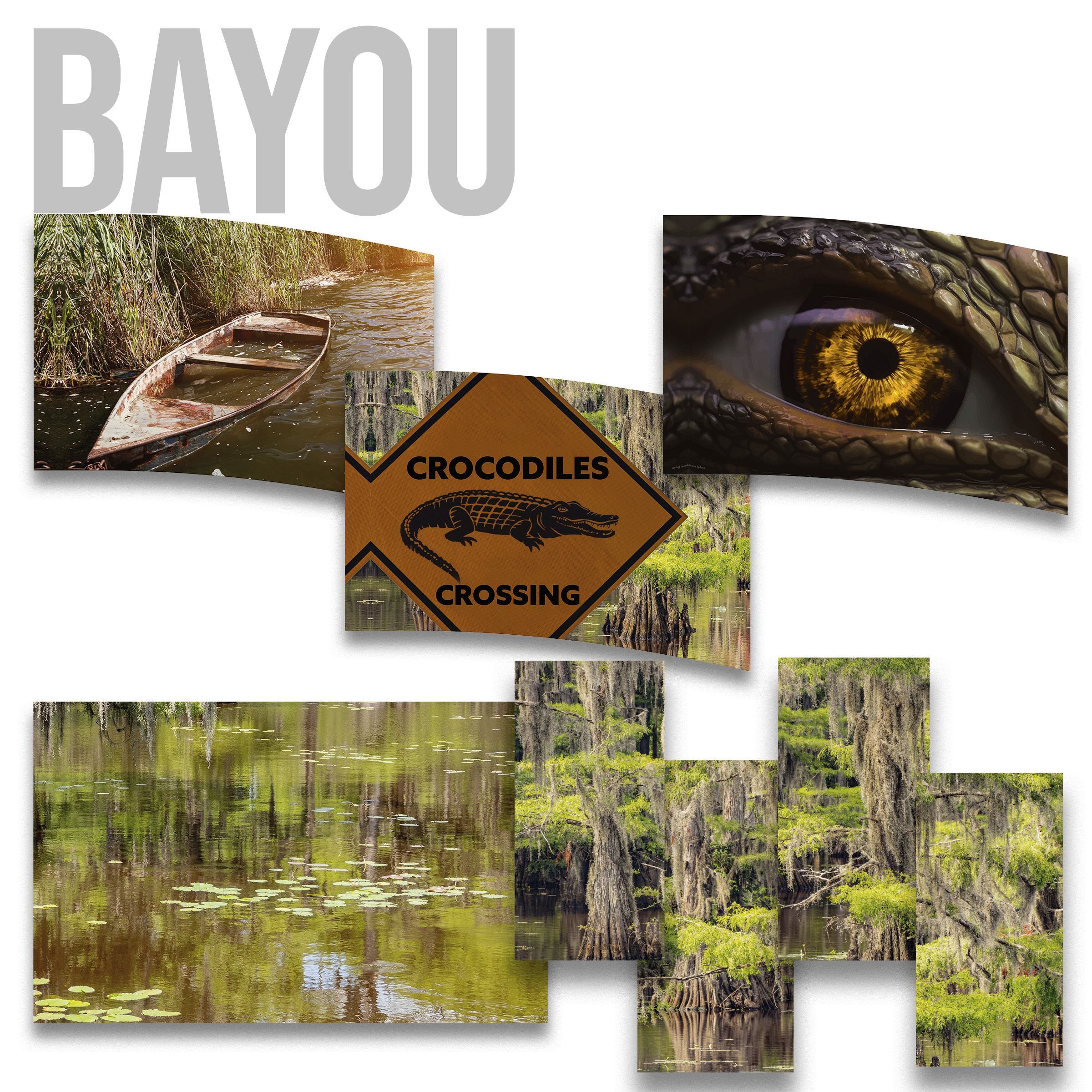 Bayou