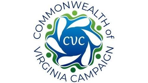 UVA faculty, staff helped local nonprofits through statewide campaign