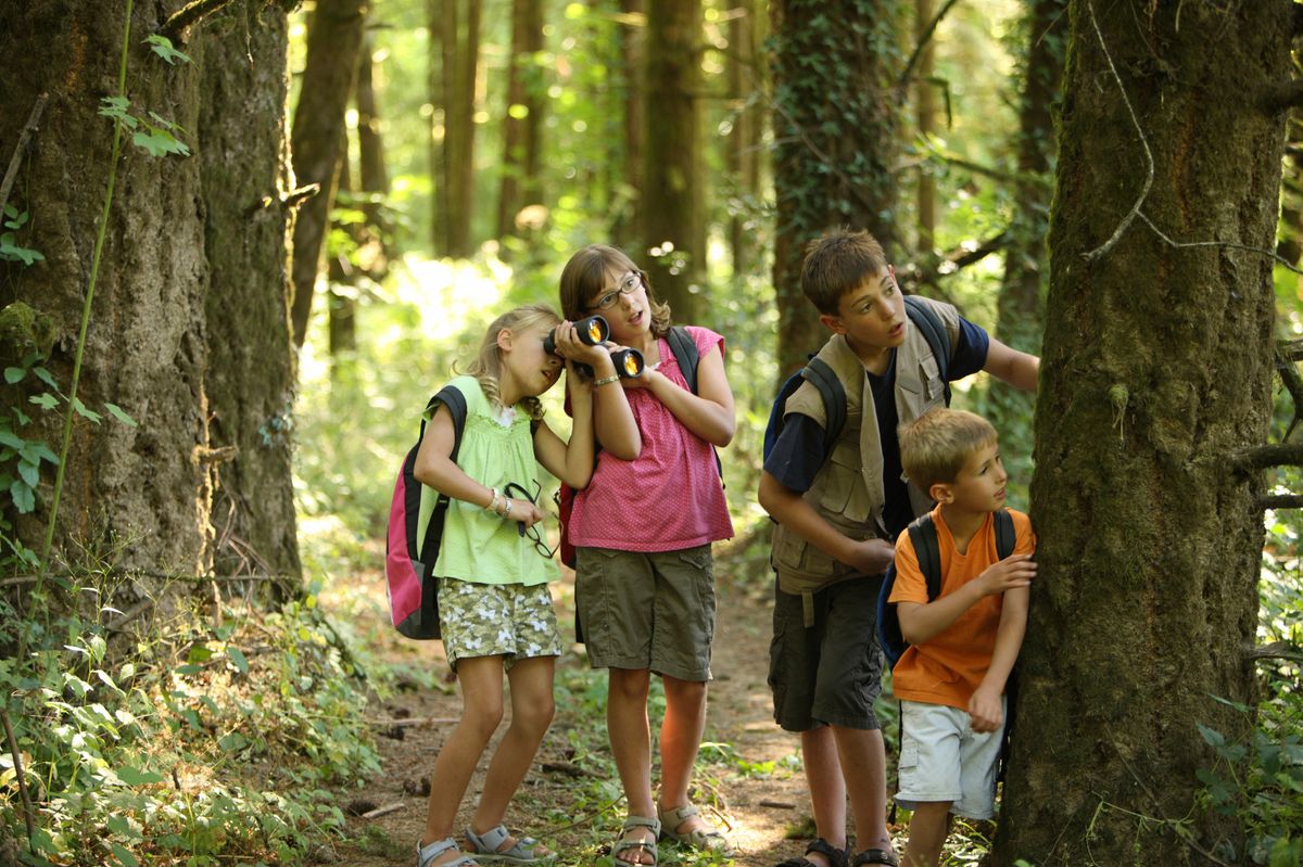 Let's Go Birding: Birding With Children 