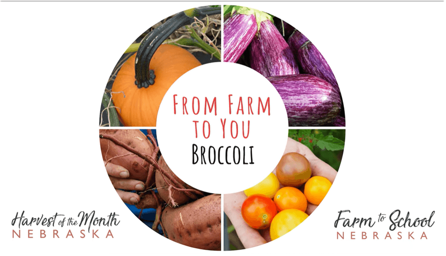 Farm to you - Broccoli, Green School Farms