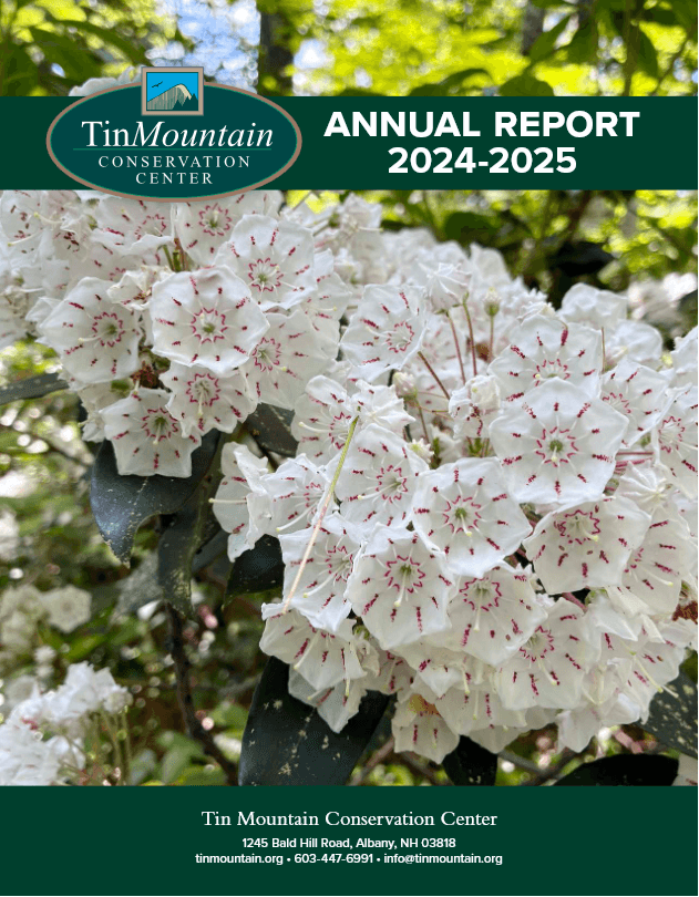 Annual Report 2024-2025