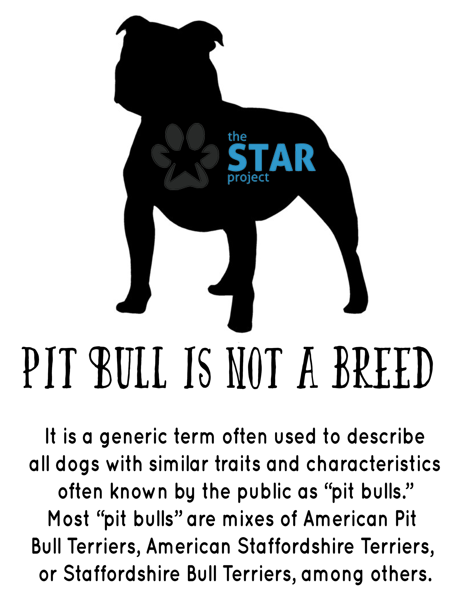 Pit Bull Is Not a Breed 