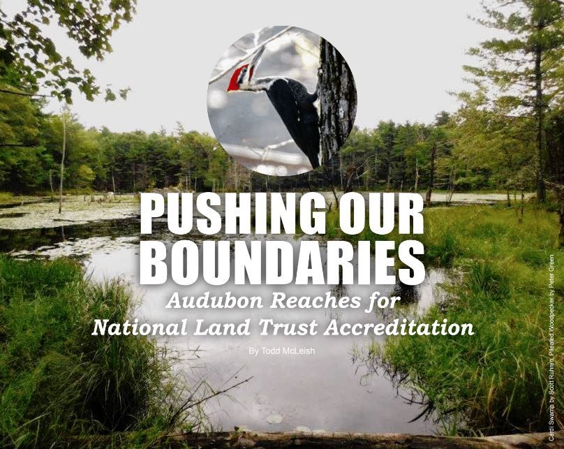 Pushing our Boundaries Audubon Society of Rhode Island Reaches for National Land Trust Accreditation Conservation New England