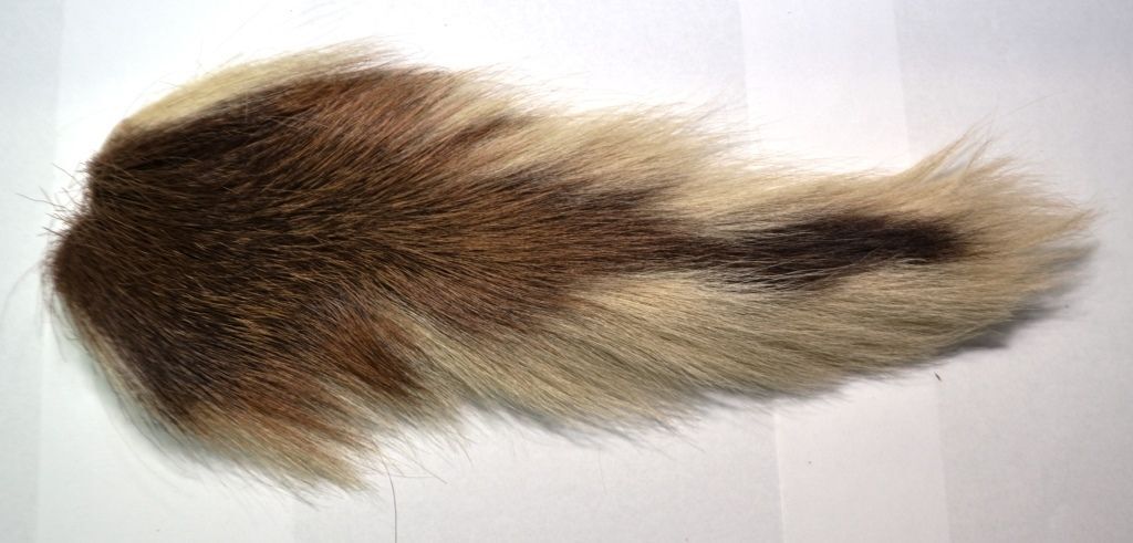 Gettysburg Beyond the Battle Artifact Spotlight: Charles Gilbert’s Bucktail