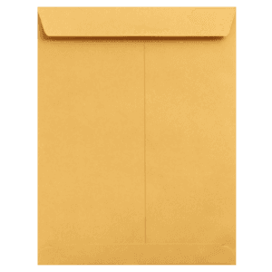 9x12 Brown Kraft ​