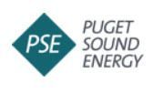 Puget Sound Energy 