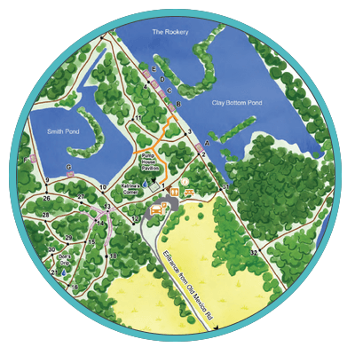 Trail Maps (PDF)