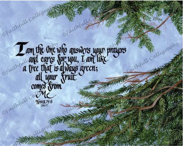 EVERGREEN (Hosea, Encouragement, Faithwalk, Grief/Loss)