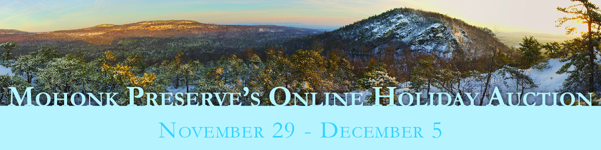 Online Holiday Auction
