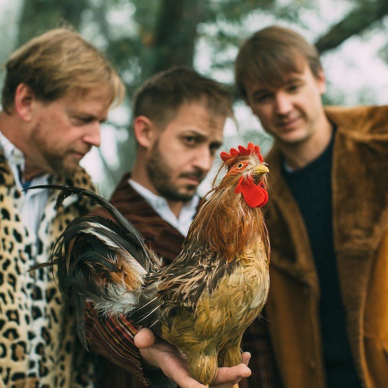 The Loose Roosters | Tradition-Plus Roots Rock