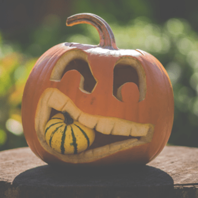 6 Volunteering Ideas for October
