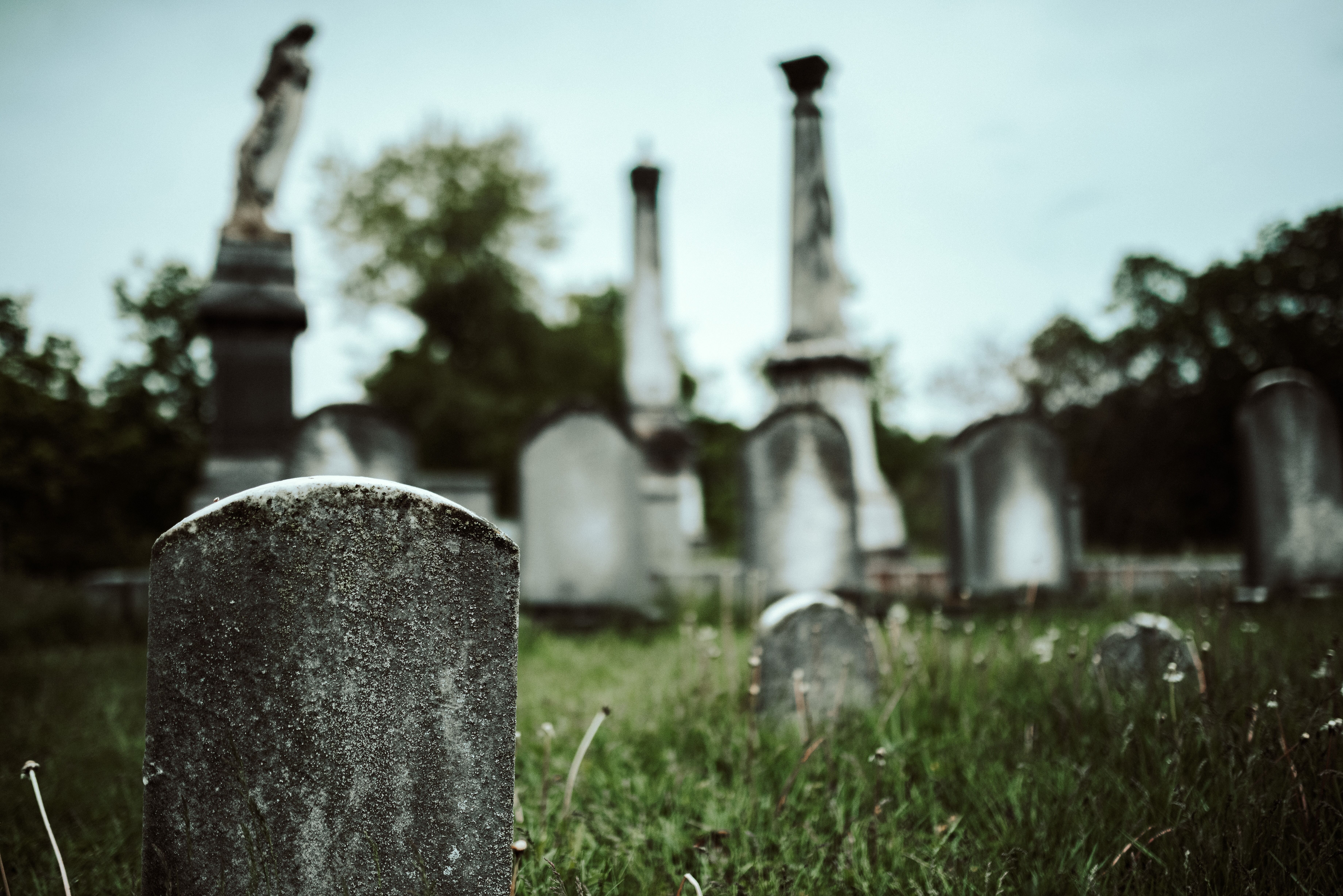 Markers in a historic cemetery. 