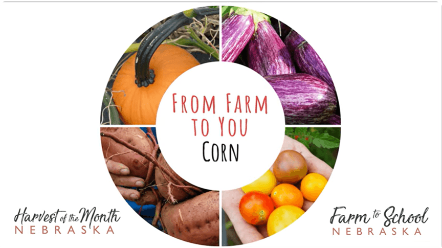 Farm to You - Corn, Cottage Hill Farm