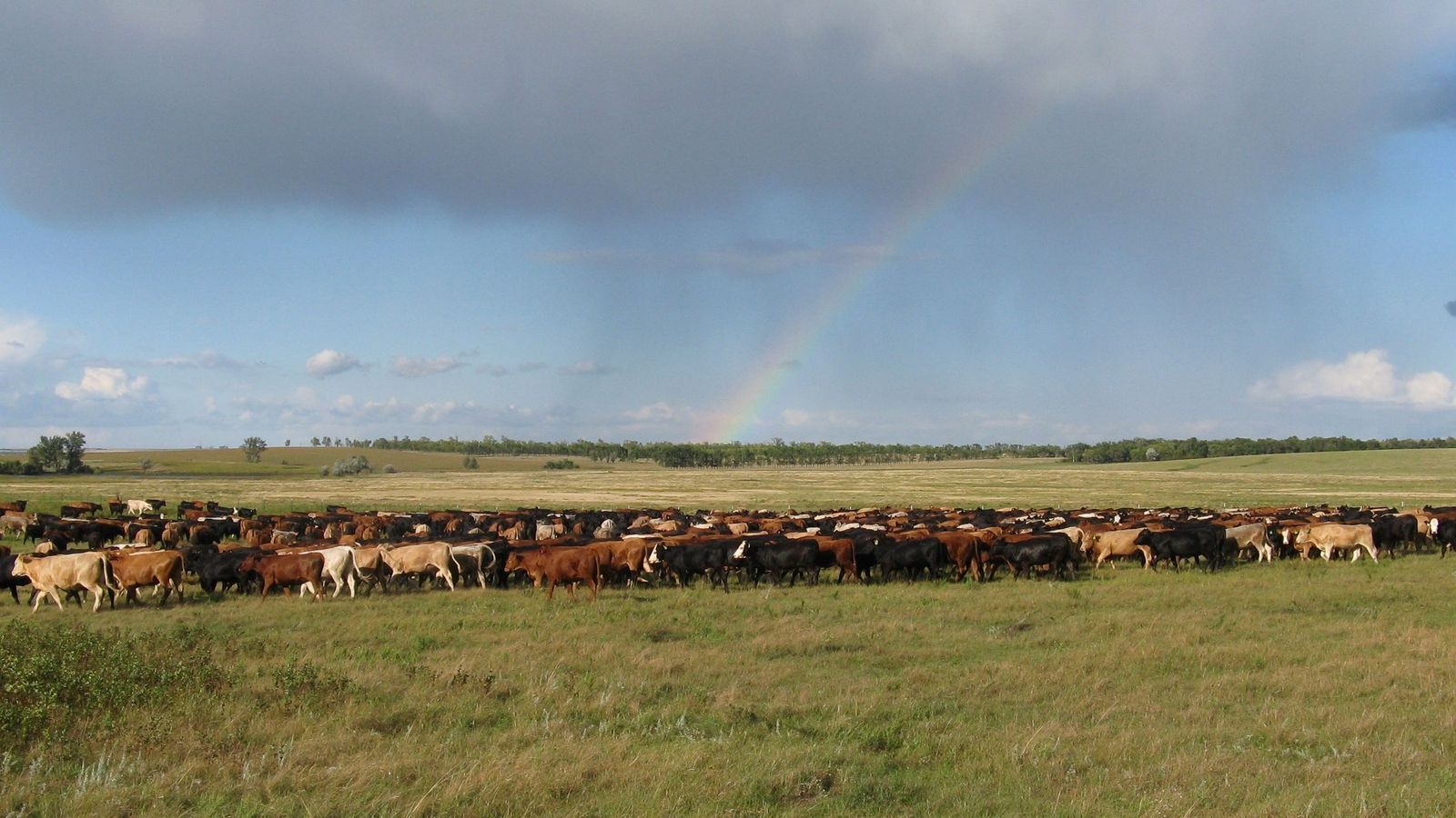 Home North Dakota Grazing Lands Coalition