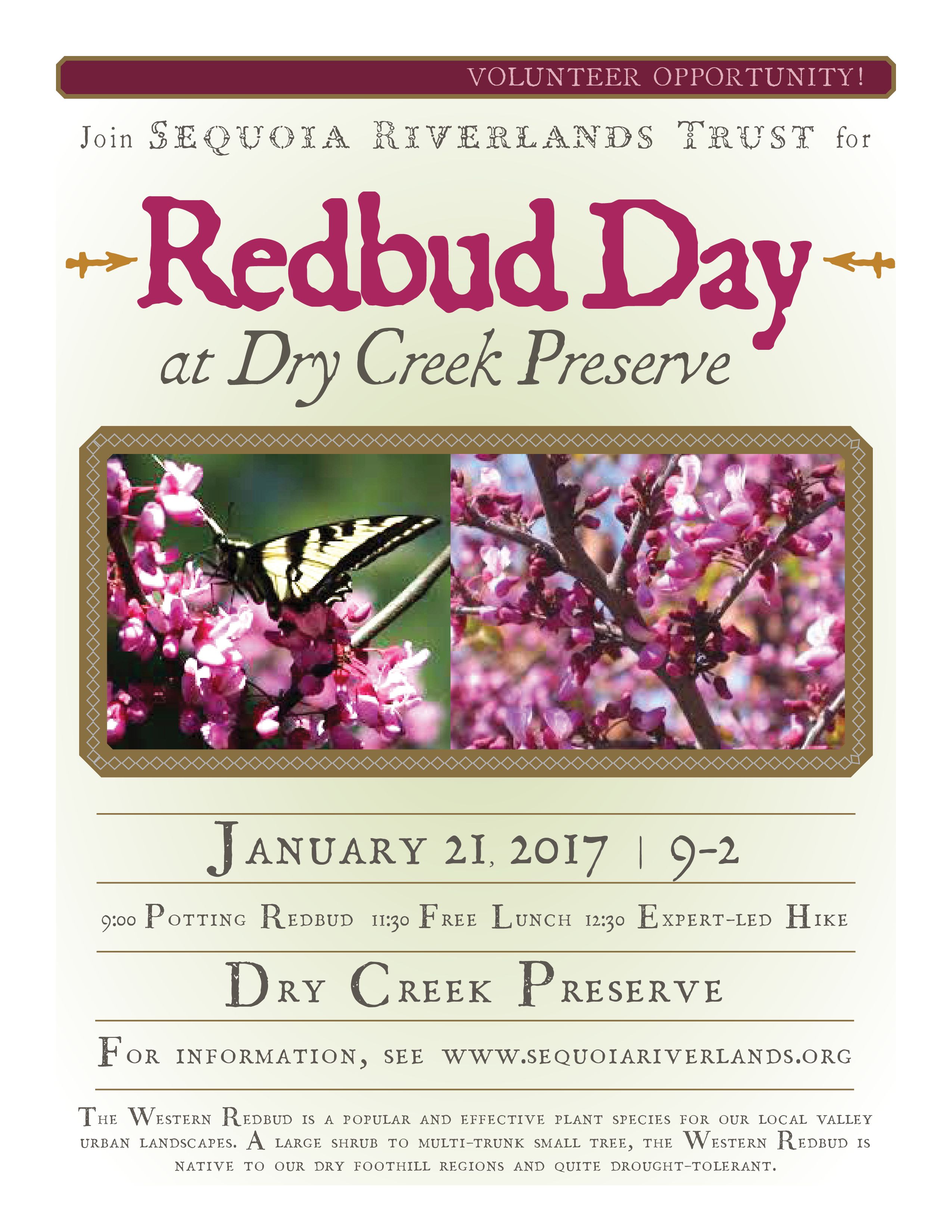 Redbud work day at Dry Creek Preserve