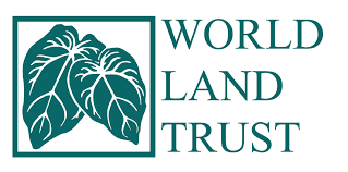WFT
