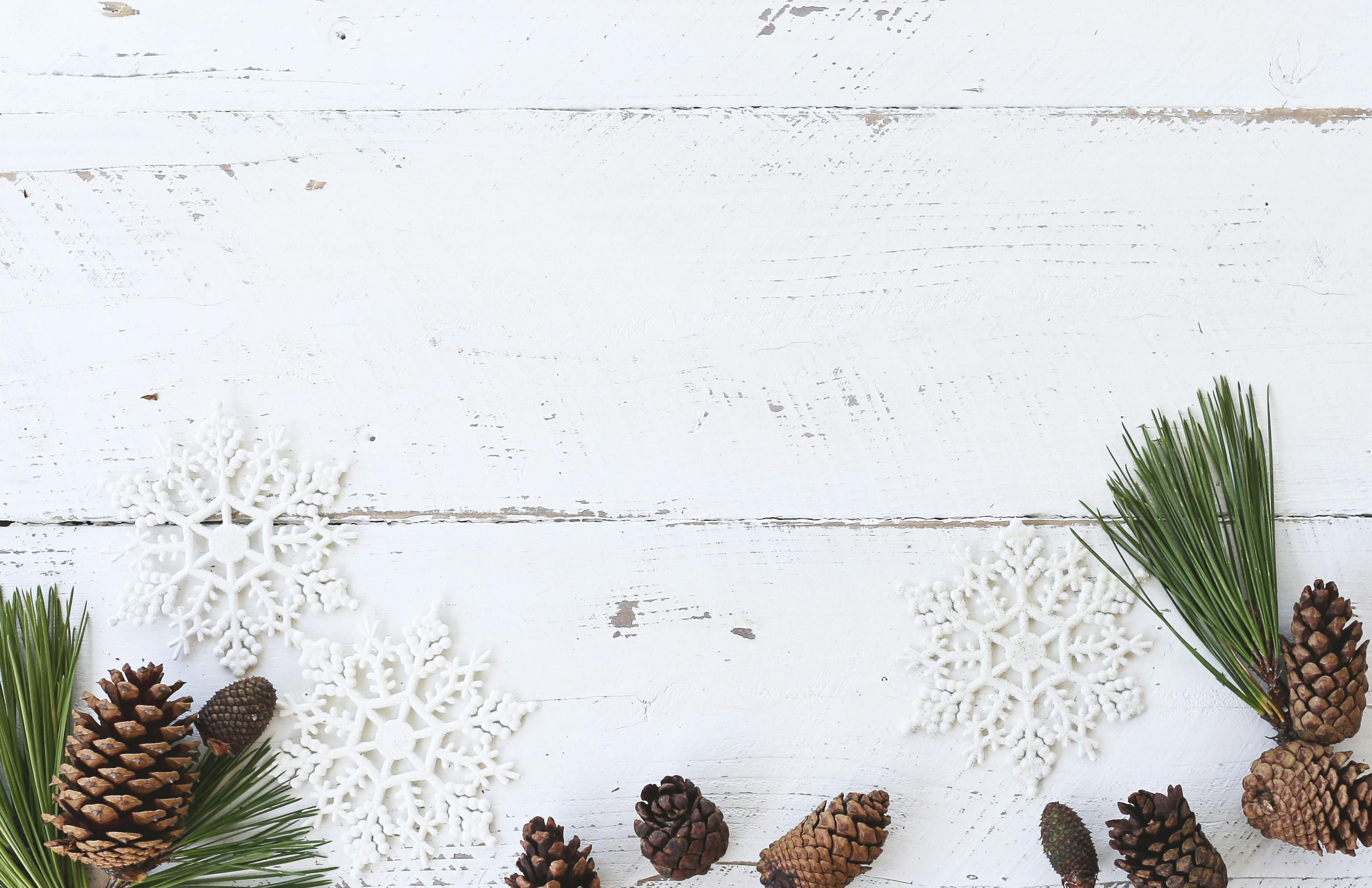Holiday Pocketbook Bingo