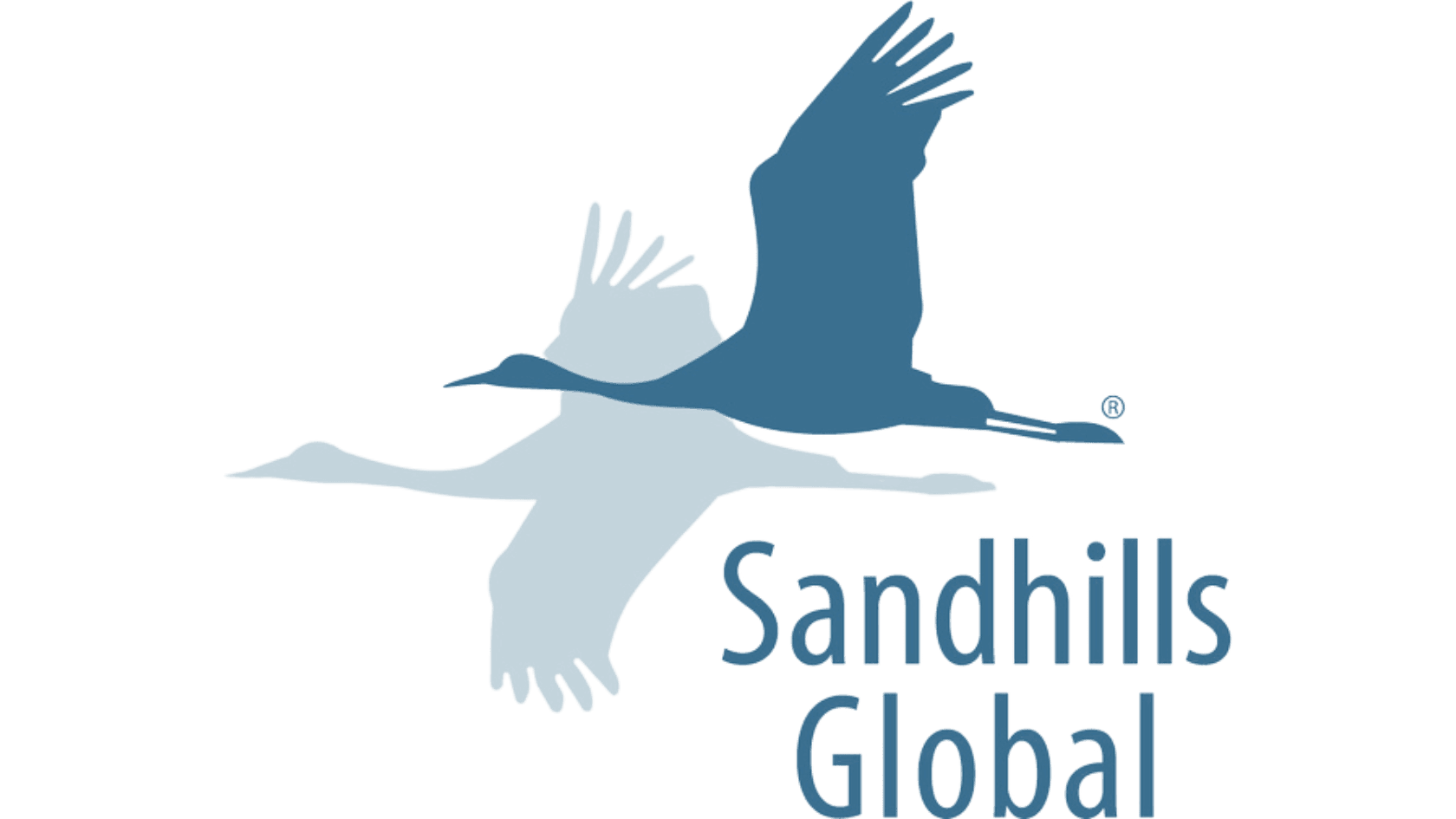 Sandhills Global