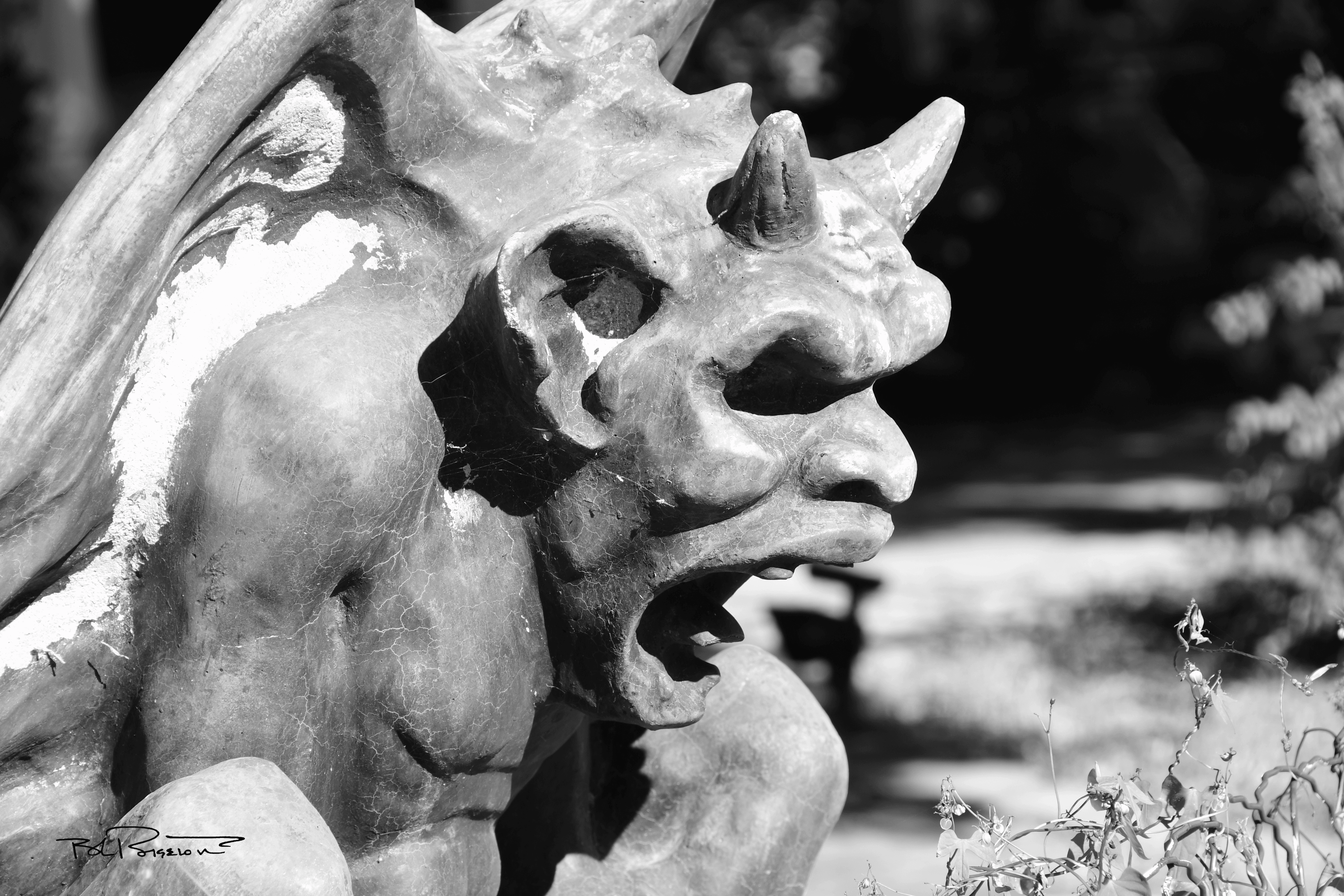 Gargoyle