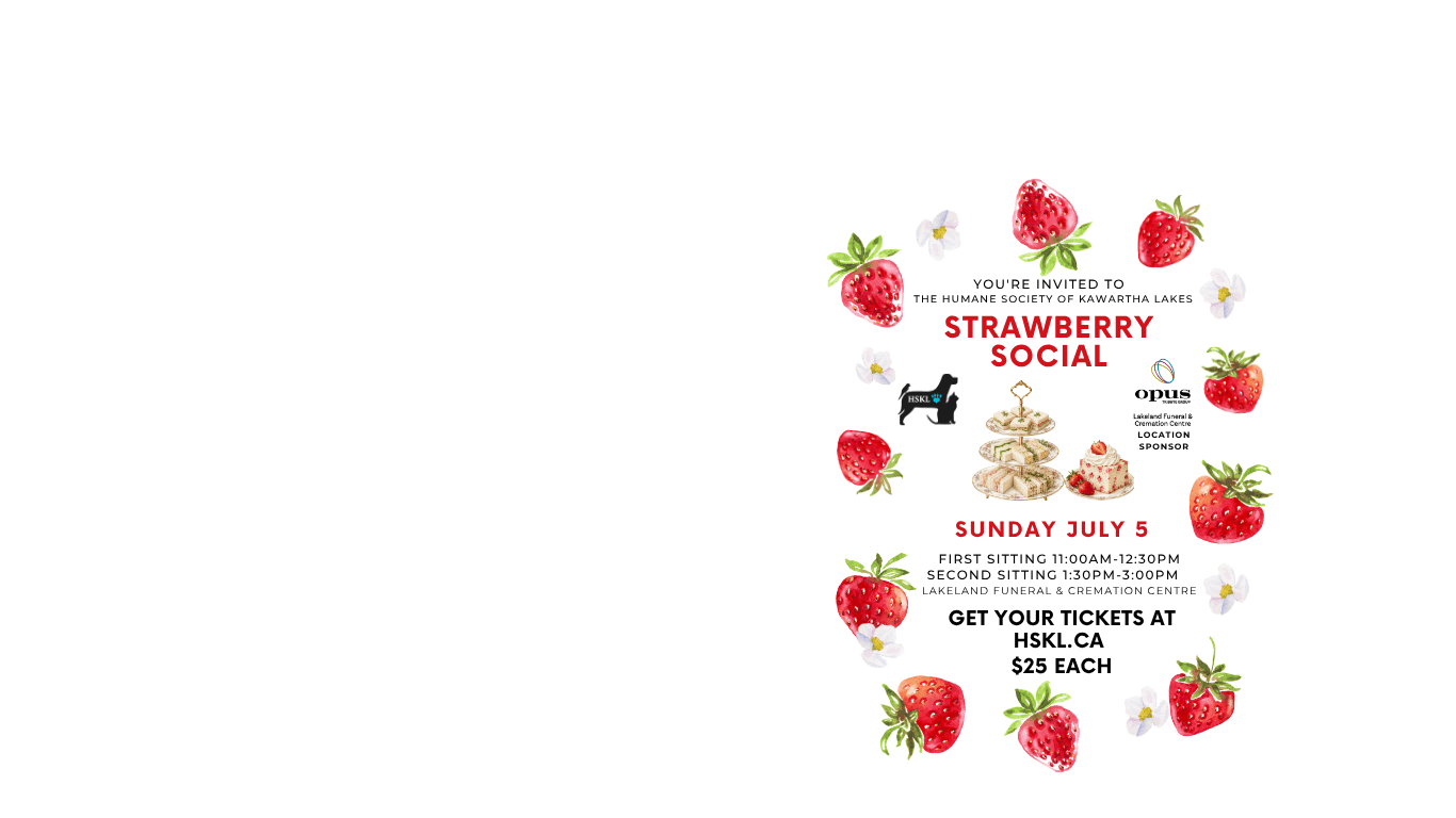Strawberry Social