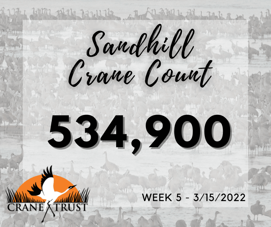 Results of sandhill crane count released - Farm and Dairy