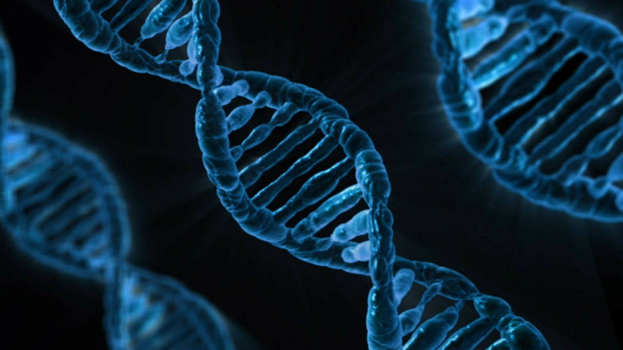 A picture of three strands of DNA