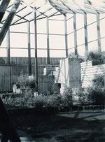 Platforms and terraces in the outdoor enclosure