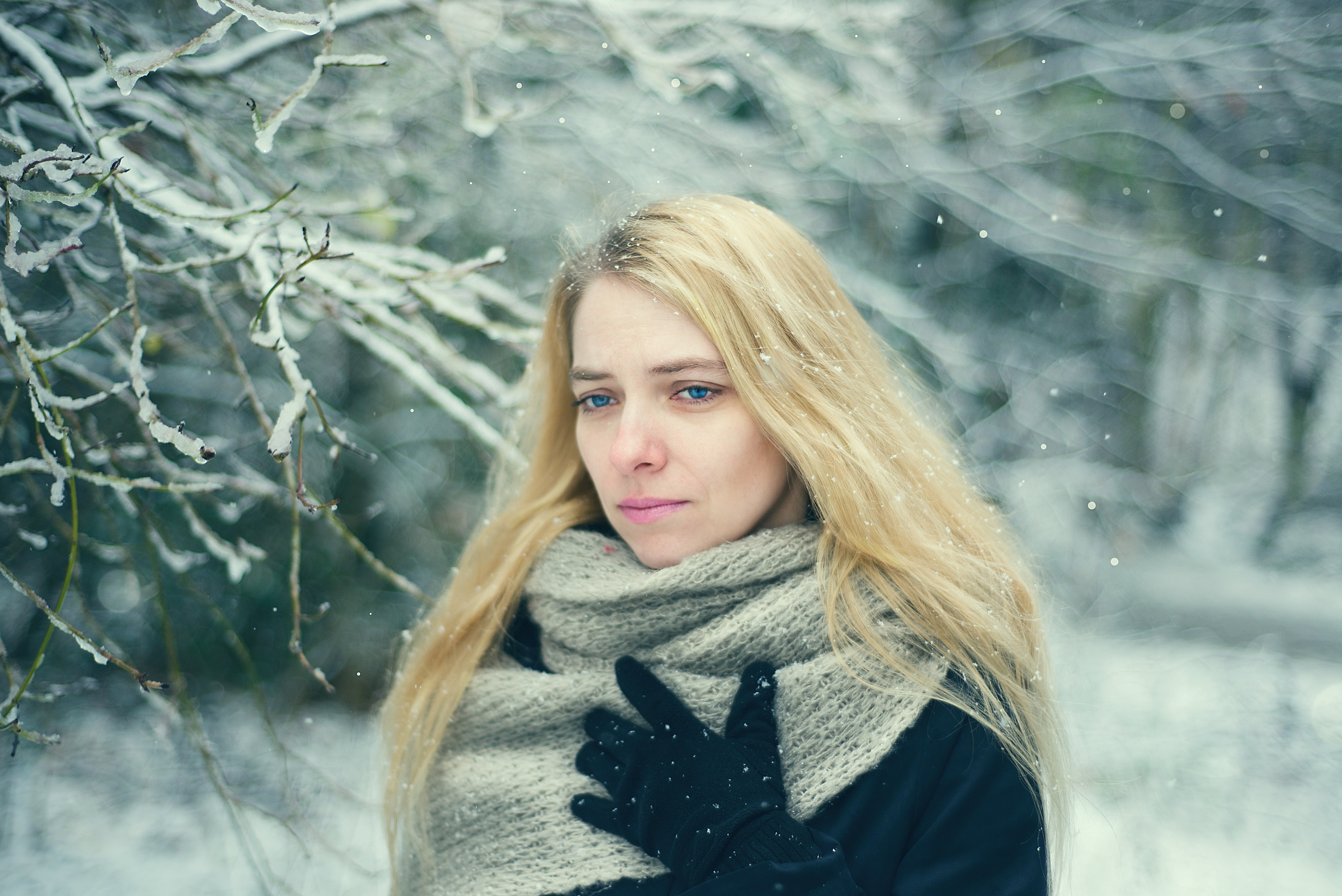 Winter Blues and Holiday Stress