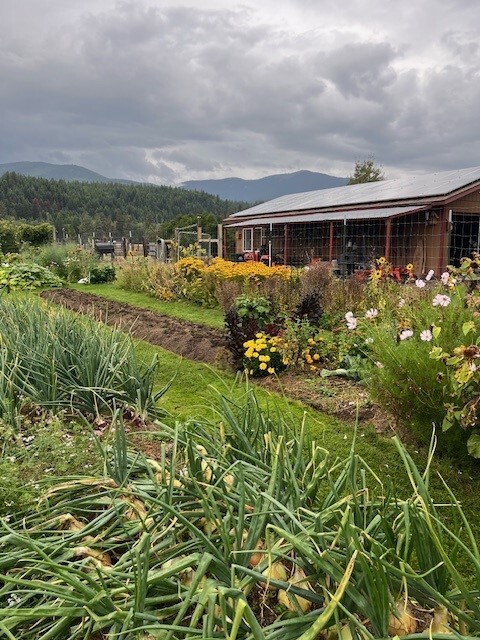 Gardening in Montana Class 5: Vegetables & Herbs