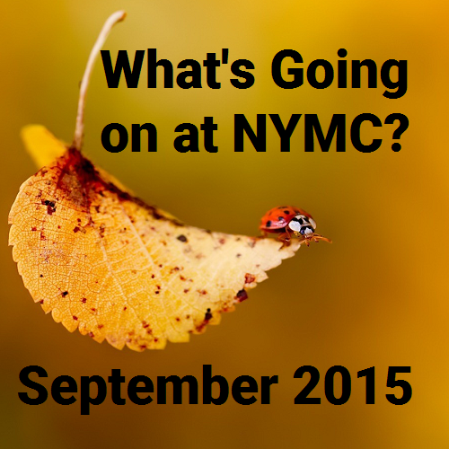 What’s Going On: September 2015