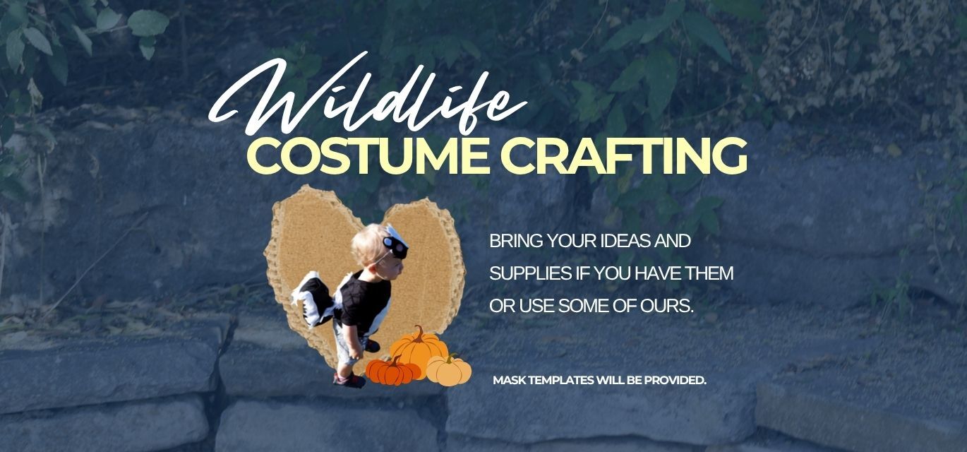 Diy halloween costumes, wildlife costume crafting, halloween masks