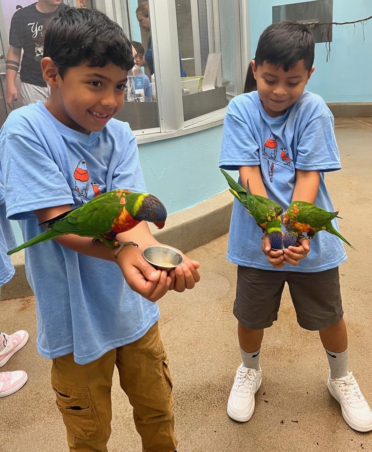 Boys feeding birds at the Aviary