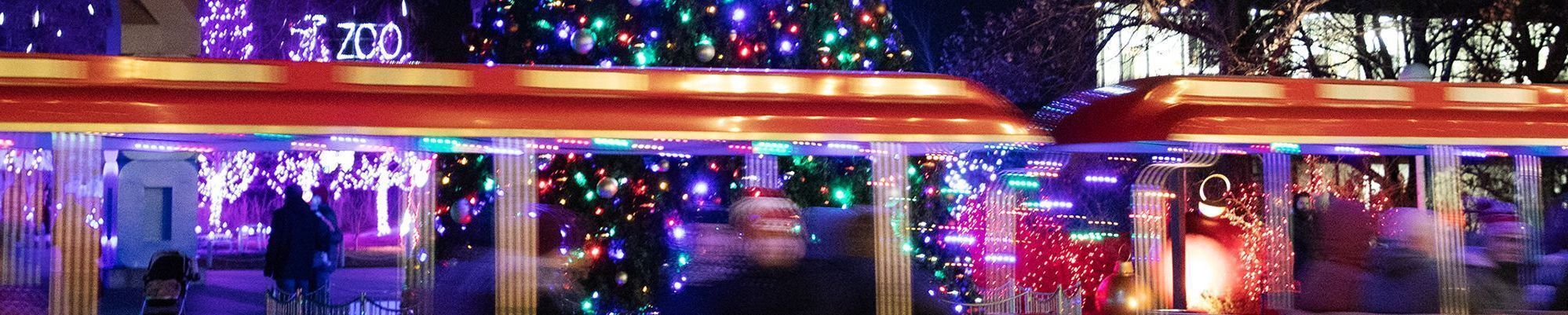 Zoo Lights Train Ride with Christmas Tree