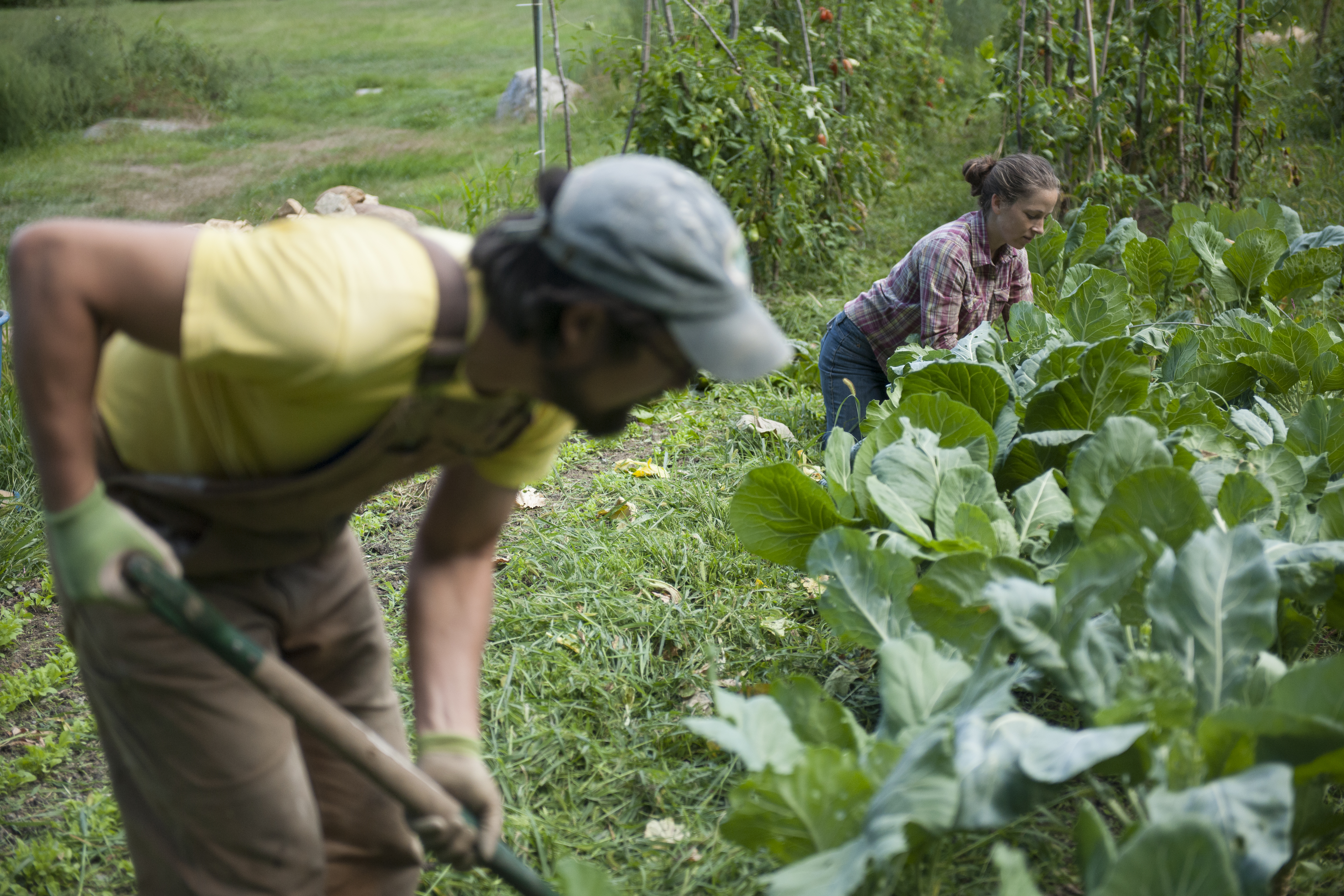Farm Crew Training: Compassionate Communication