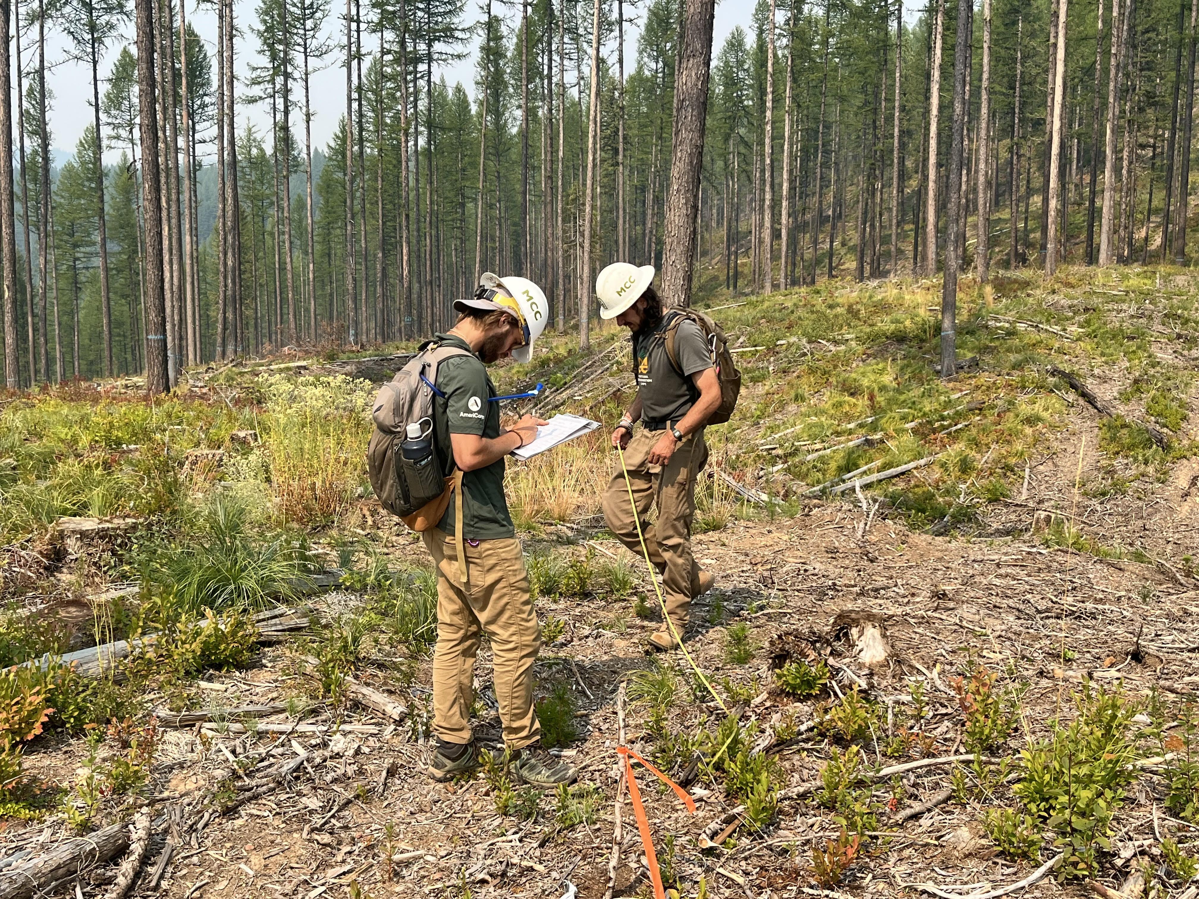Two field crew leaders complete a forestry survey.